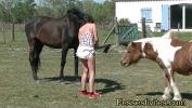 Free download video sex new Kioki en couche avec les chevaux CLIP high quality