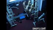 Download video sex 2020 Horny folks fucking at the gym Mp4 - TubeXxvideo.Com