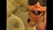 Free download video sex Toilet Slave HD