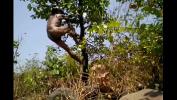 Video porn 2020 Village Boy Nude Safar In Forest Play With Tree 039 s fastest