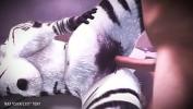 Watch video sex Furry P zebra fastest of free