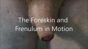 Free download video sex hot Foreskin Demonstration online high speed