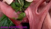 Watch video sex new Nettles in Peehole Urethral Insertion Nettles amp Fisting Cunt HD in TubeXxvideo.Com