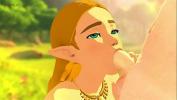 Video sex Zelda gives Blowjob in BOTW online fastest