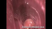 Download video sex 3D Anal and Creampie excl HD