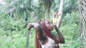 Video porn new I met her in the bush fetching firewood while I was harvesting Palm fruits comma I helped her and she rewarded me with a good fuck fastest