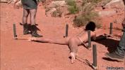 Video porn new Predators whip bound slut in desert online