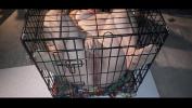 Video porn 2022 My sex slave plays with herself while locked inside cage HD in TubeXxvideo.Com