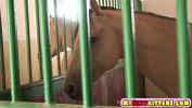 Download video sex new Cute masturbating horse rider fastest