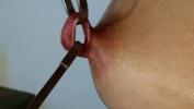 Video sex hot nippleringlover kinky stretching nipple piercings with hooks to 17mm close up high quality