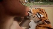 Video porn new Cow and Tiger make each other squirt Wildlife fastest of free