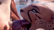 Video porn hot Furry Porn Cheetah Blowjob Compilation online high speed