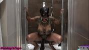 Video porn The Kinky Slut Queen Dark Dea in Horny Wet Fuck with the Huge SeaHorse XL and her Bull Dark in the Bathroom part period 1 lpar DarkDea for Hankey apos sToys period com rpar lpar EXTREME INSERTION FETISH FEMDOM SIZE QUEEN rpar Mp4