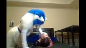 Video sex new Furry gay sex of free in TubeXxvideo.Com