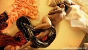 Watch video sex Bollywood and The Sexy Snake HD in TubeXxvideo.Com